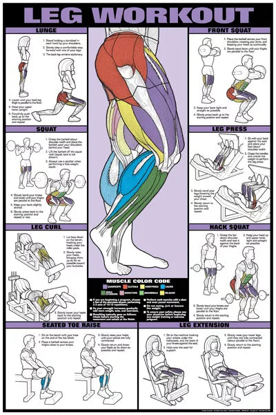 Squat Leg Workouts For Size LEG TRAINING POSTER Southside Fitness