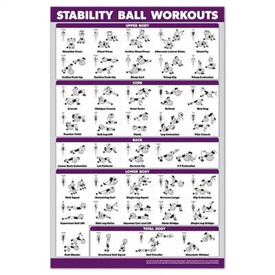 STABILITY BALL WORKOUT POSTER