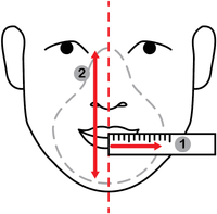 TRAINING MASK