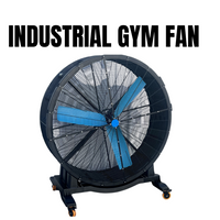 INDUSTRIAL GYM FAN