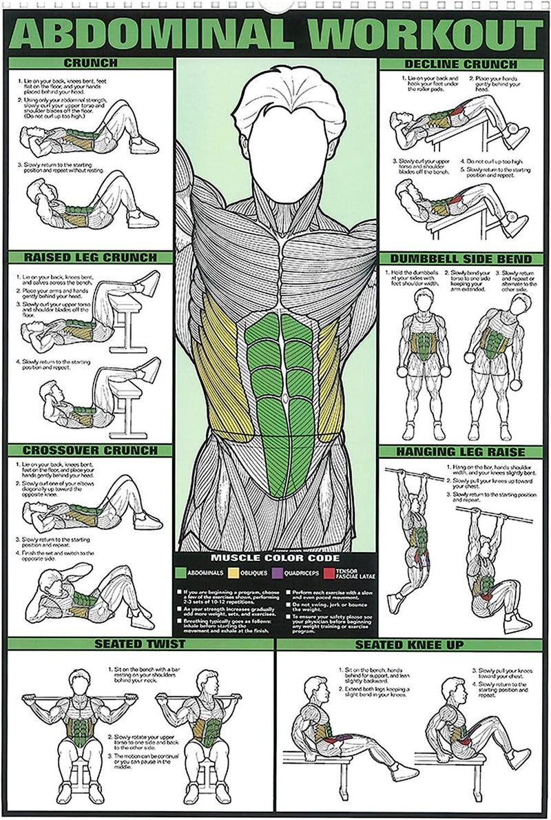 ABDOMINAL TRAINING POSTER