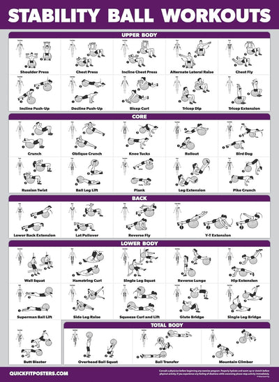 STABILITY BALL WORKOUT POSTER