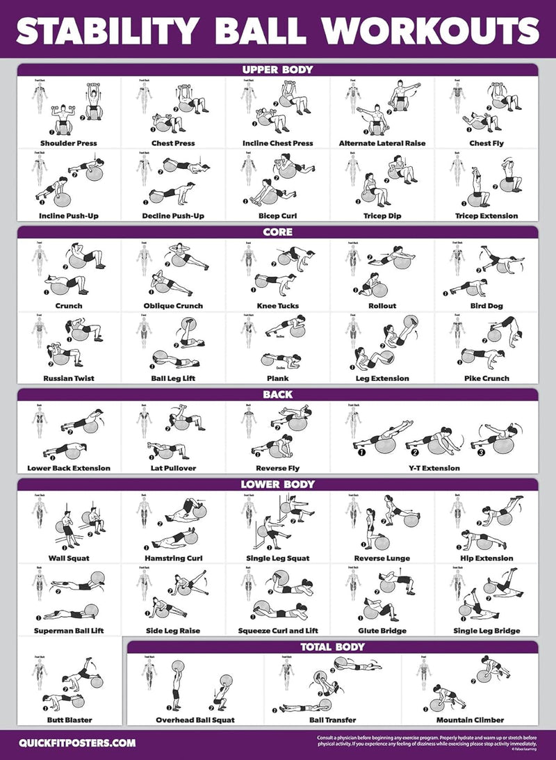 STABILITY BALL WORKOUT POSTER