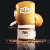 TAPOUT "PRO" BOXING GLOVES