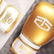 TAPOUT "PRO" BOXING GLOVES