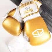 TAPOUT "PRO" BOXING GLOVES