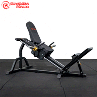 REVOLUTION LEG SLED MACHINE