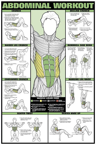 ABDOMINAL TRAINING POSTER