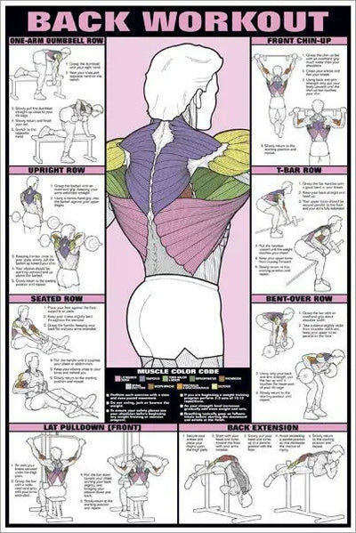 BACK TRAINING POSTER