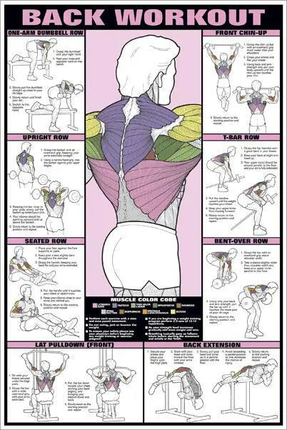 BACK TRAINING POSTER