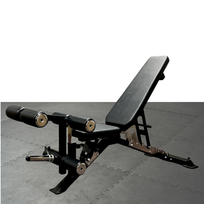 REVOLUTION DFID BENCH