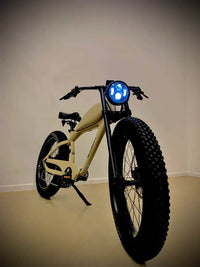 DUNE E-BIKE 250W