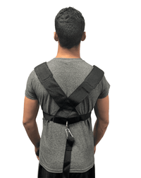 SLED HARNESS