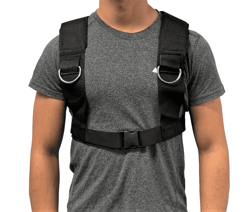 SLED HARNESS