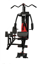 REVOLUTION HG636LP HOME GYM & LEG PRESS