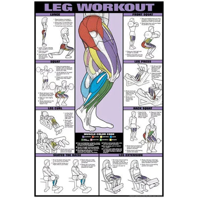 LEG TRAINING POSTER