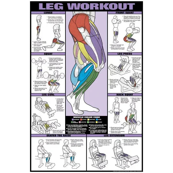 LEG TRAINING POSTER