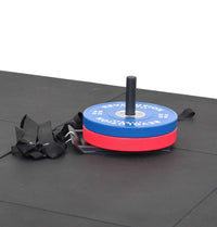 REVOLUTION GYM SLED WITH HARNESS