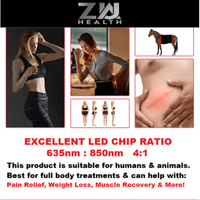 RED LIGHT THERAPY MAT