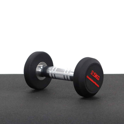 2.5KG ROUND RUBBER DUMBELL
