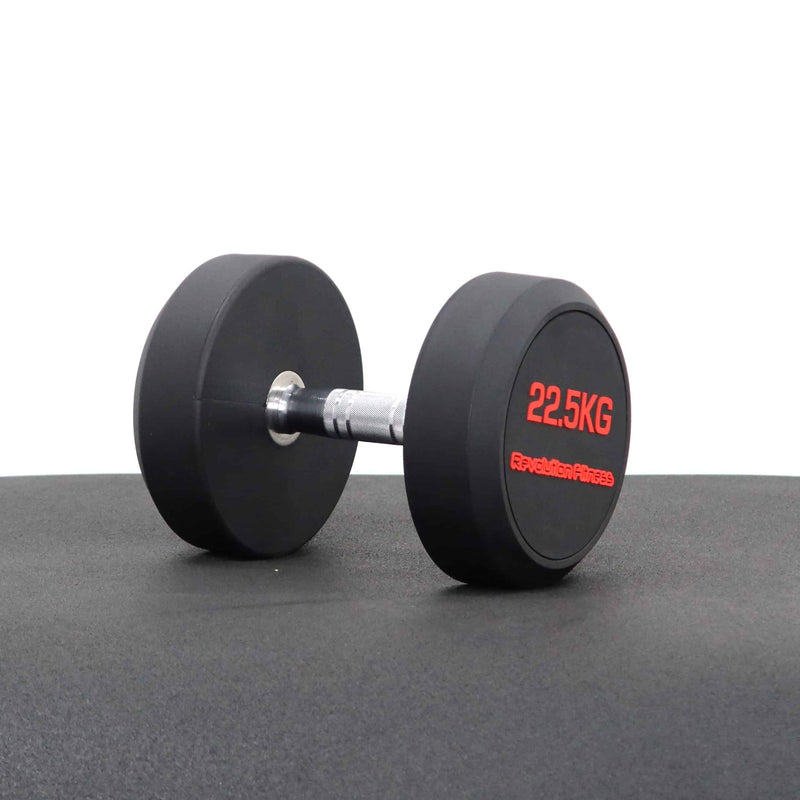 22.5KG ROUND RUBBER DUMBELL