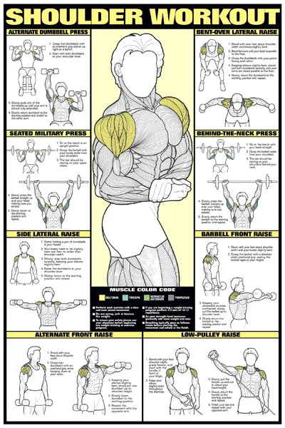 SHOULDER TRAINING POSTER