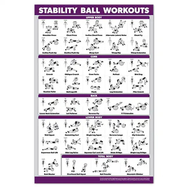 STABILITY BALL WORKOUT POSTER
