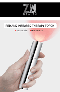 RED LIGHT TORCH