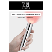 RED LIGHT TORCH