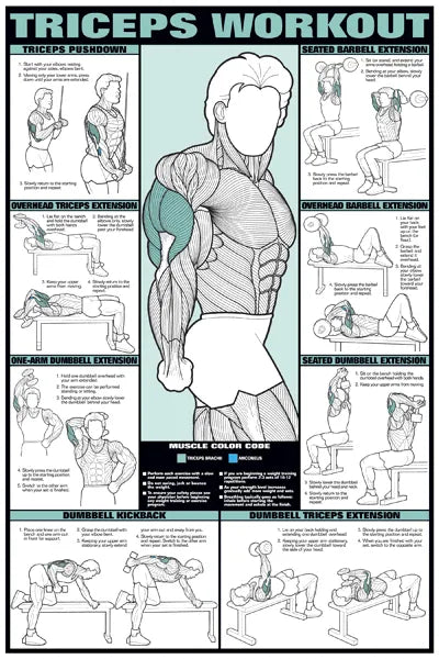 TRICEP TRAINING POSTER